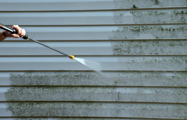 Animal Enclosure Cleaning in Athens, AL